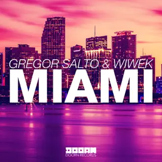 Miami by Gregor Salto & Wiwek song reviws