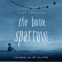 Zana Fraillon - The Bone Sparrow artwork