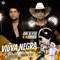 Viúva Negra (feat. Bruno Barreto) - João Alyson & Adriano lyrics