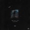 Not the One (Feat. Lil Peep) - Since When? lyrics