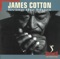 Black Knights - James Cotton lyrics