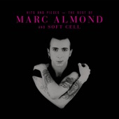 Marc Almond And The Willing Sinners - Stories Of Johnny