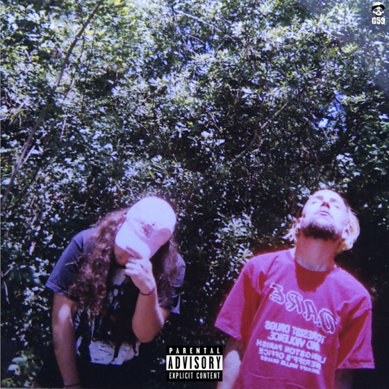 Cover artwork for Fake Pontchartrain