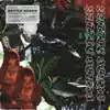 Battlescars (feat. Lil Skies) - Single album lyrics, reviews, download