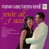 Marvin Gaye & Tammi Terrell - Ain't Nothing Like the Real Thing