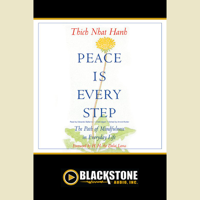 Thích Nhất Hạnh - Peace Is Every Step: The Path of Mindfulness in Everyday Life artwork