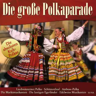 descargar álbum Various - Die Große Polkaparade