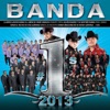 Banda #1's 2013