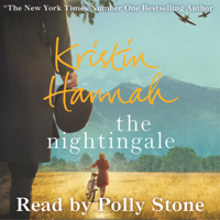 Kristin Hannah - The Nightingale artwork