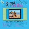 Stevie at the Beach, 1964
