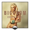 Bigroom Essentials, Vol. 5