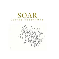 Soar by Lucius ColdStone album reviews, ratings, credits