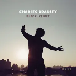 Black Velvet - Charles Bradley