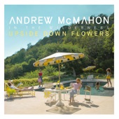 Andrew McMahon In the Wilderness - Paper Rain