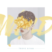 Troye Sivan - Wild Lyrics