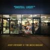 Joey Sweeney - Digital Light (feat. The Neon Grease)