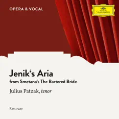 Smetana: The Bartered Bride: Jenik's Aria - Single by Julius Patzak, Unknown Orchestra & Manfred Gurlitt album reviews, ratings, credits