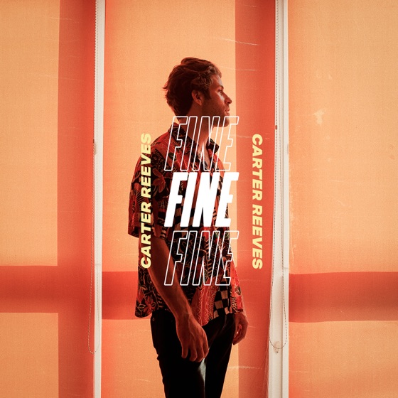 Cover artwork for Fine