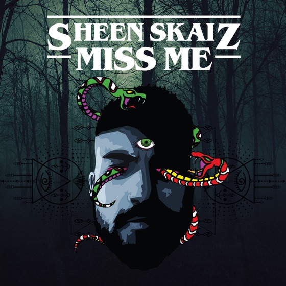 Cover artwork for Miss Me