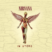 Nirvana - In Utero (20th Anniversary) [Remastered] artwork