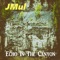 Echo in the Canyon - JMul lyrics