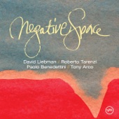David Liebman - Negative Space