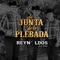 Los Calzones de la Plebe - Los Reynaldos De La Sierra lyrics