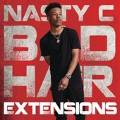 Bad Hair Extensions artwork