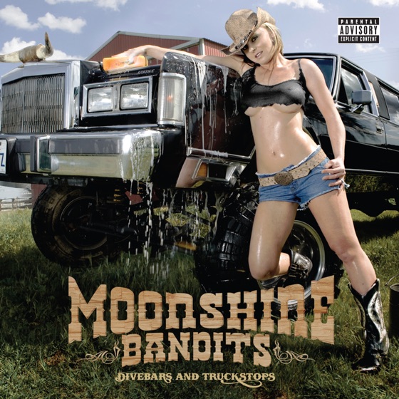 Cover artwork for Blame It on Texas