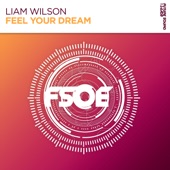 Feel Your Dream (Extended Mix) artwork