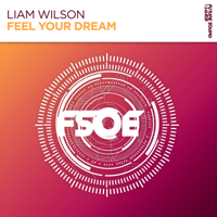 Liam Wilson - Feel Your Dream (Extended Mix) artwork