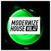 Modernize House, Vol. 47