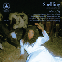 Spellling - Mazy Fly artwork