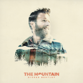 The Mountain cover