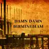Damn Damn Birmingham (feat. Paul Pace) - Single album lyrics, reviews, download