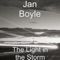 The Light in the Storm artwork