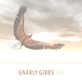 Fly Single By Gnarly Gibbs