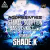 Stereo Solution & Bass Is Kicking Remixes - Single album lyrics, reviews, download
