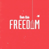 Freedom artwork