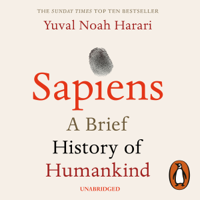 Yuval Noah Harari - Sapiens artwork