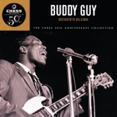 Buddy Guy - She Suits Me To A Tee