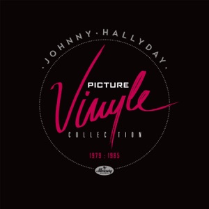Johnny Hallyday - Le bon temps du rock'n'roll - Line Dance Choreograf/in