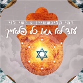 עוד לא תמו כל פלאייך artwork