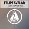 Can't Stop the Dub - Felipe Avelar lyrics