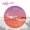 The Promise You Made - Single