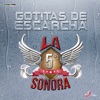 La 5ta Sonora - Gotitas de Escarcha