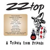 ZZ Top – a Tribute from Friends artwork