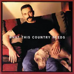 What This Country Needs - Aaron Tippin
