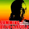 Jamming (feat. Mike Campbell & Brandon Fields) - Single album lyrics, reviews, download