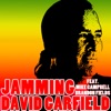 Jamming (feat. Mike Campbell & Brandon Fields) - Single
